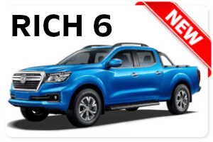 Dongfeng RICH 6