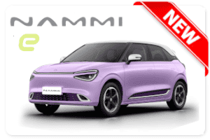 Dongfeng Nammi